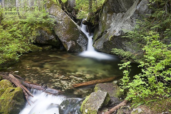 Felsbrocken  Ereignis  Granit  Regenwald