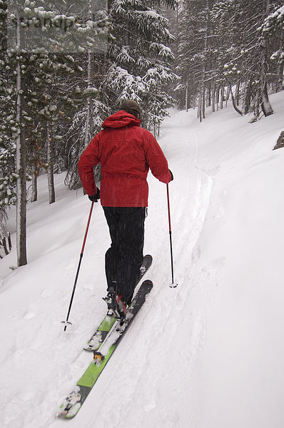 Mann  Skisport  unbewohnte  entlegene Gegend  Colorado