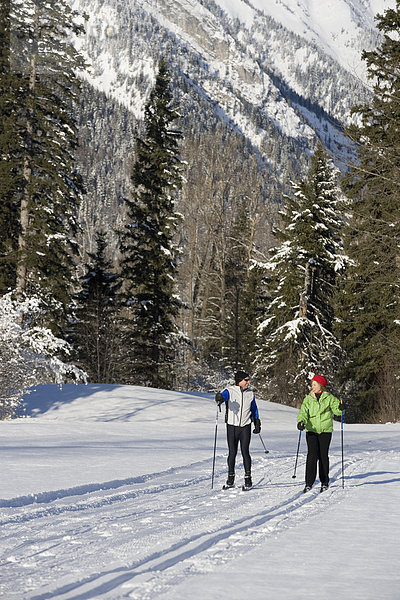 folgen  Skisport  Ski  gepflegt  Langlaufski