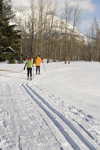 folgen  Skisport  Ski  gepflegt  Langlaufski