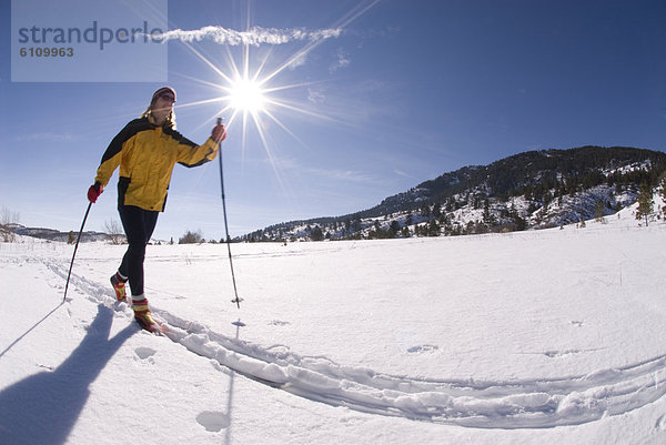 überqueren  Skisport  Kreuz