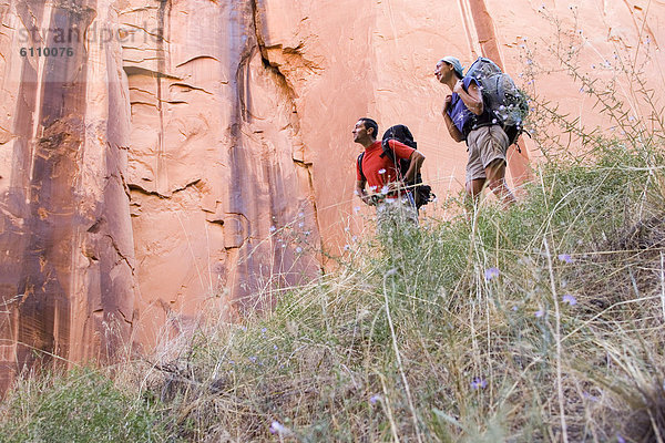 Vereinigte Staaten von Amerika  USA  wandern  2  Schlucht  Utah