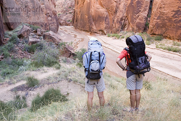 Vereinigte Staaten von Amerika  USA  wandern  2  Schlucht  Utah