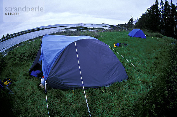 Küste  camping  Wiese