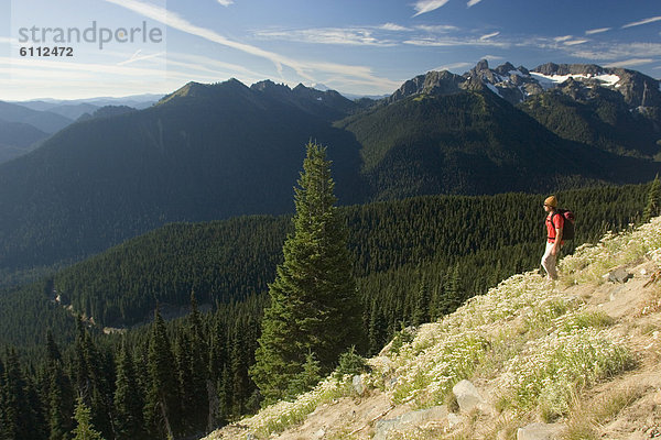 Mann  wandern  jung  Berg  Mount Rainier Nationalpark