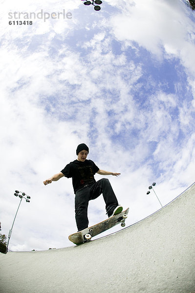 Skateboarder  Kunststück  Reh  Capreolus capreolus  Skateboardanlage