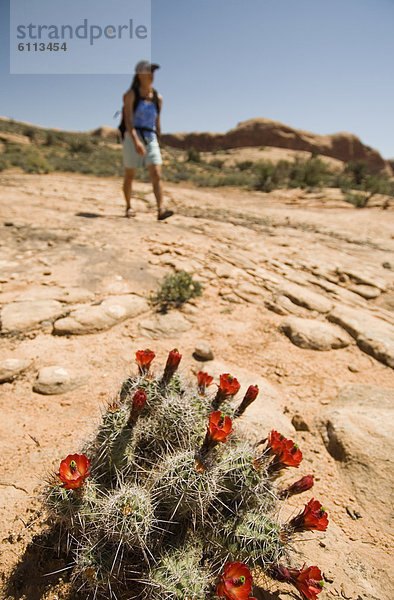 nahe  wandern  Moab  Utah