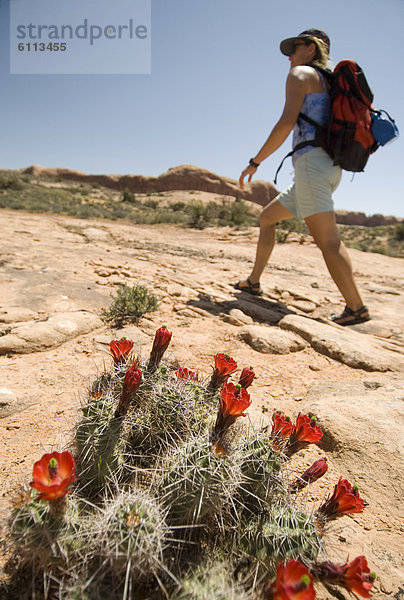 nahe  wandern  Moab  Utah