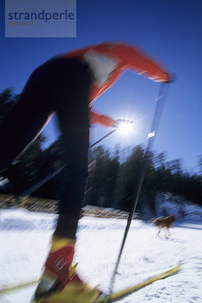 Frau  Geschwindigkeit  Skisport  Norden