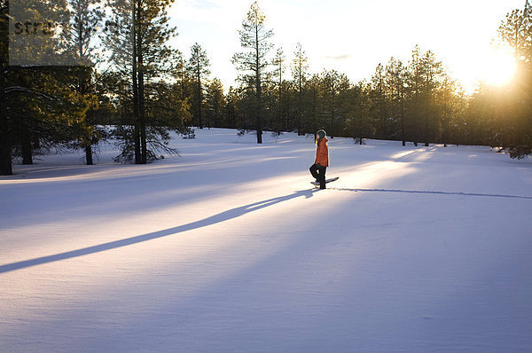 Frau  Frische  Sonnenuntergang  fallen  fallend  fällt  Arizona  jung  Schneeschuh  Fahnenmast  Schnee