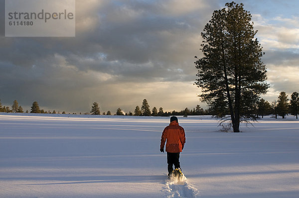 Frau  Frische  Sonnenuntergang  fallen  fallend  fällt  Arizona  jung  Schneeschuh  Fahnenmast  Schnee