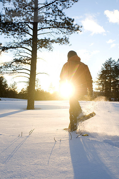 Frau  Frische  Sonnenuntergang  fallen  fallend  fällt  Arizona  jung  Schneeschuh  Fahnenmast  Schnee