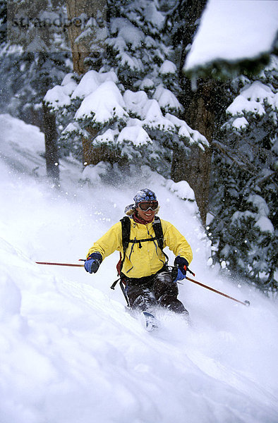 Skifahrer  Frische  Baum  Skisport  Gesichtspuder  unbewohnte  entlegene Gegend