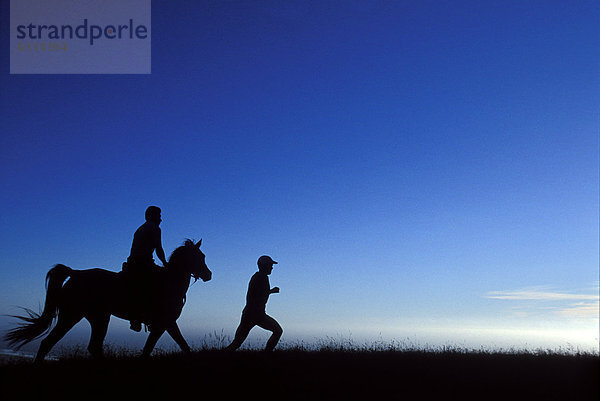 hinter  Silhouette  Mensch  rennen  reiten - Pferd