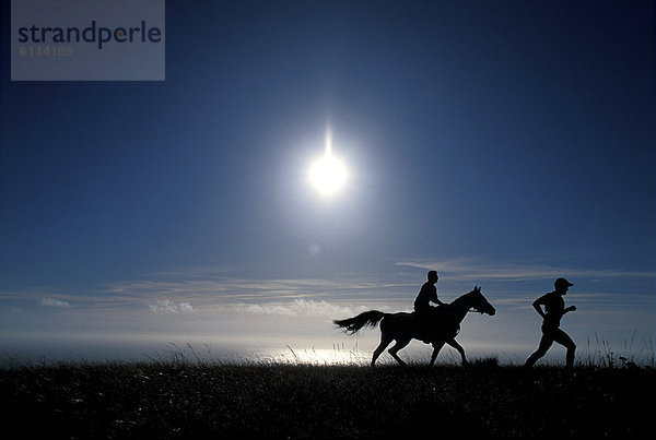 hinter  Silhouette  Mensch  rennen  reiten - Pferd