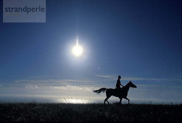 Mann  Silhouette  über  Ozean  reiten - Pferd