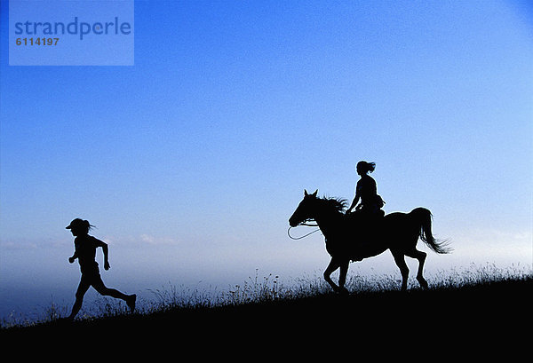 hinter  Silhouette  Mensch  rennen  reiten - Pferd
