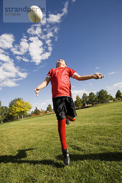 Junge - Person  Festung  Fußball  Ball Spielzeug  Reh  Capreolus capreolus  Colorado