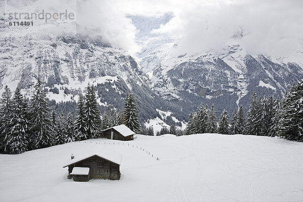 nahe Hütte bedecken Berg Feld Ansicht grasen Grindelwald Schnee Schweiz