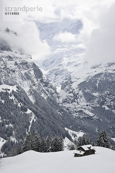 nahe Hütte bedecken Berg Feld Ansicht grasen Grindelwald Schnee Schweiz