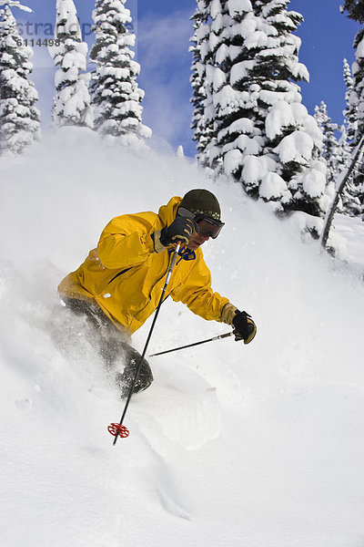 Mann  Ski  Frische  Berg  Urlaub  Gesichtspuder  Fernie  British Columbia  British Columbia  Kanada  tief