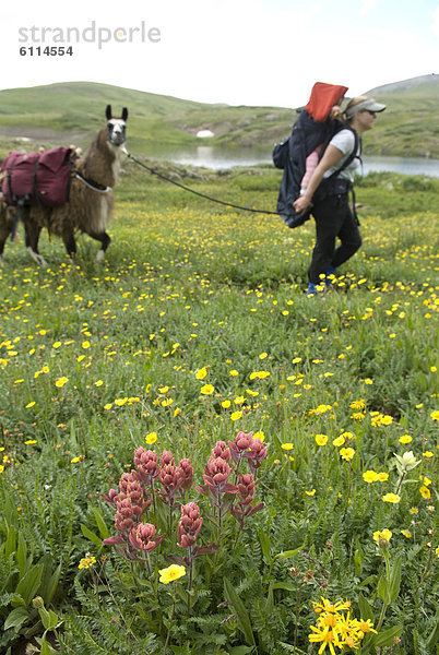 Frau  wandern  Colorado  San Juan National Forest