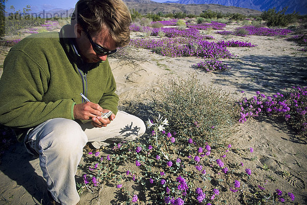Mann  schreiben  Blume  Wüste  Kleidung  Sonnenbrille