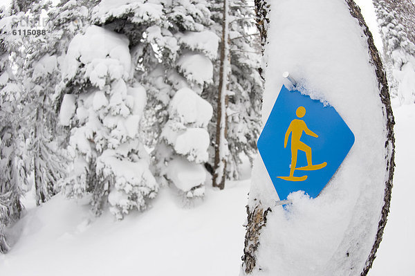 Biegung Biegungen Kurve Kurven gewölbt Bogen gebogen Schneeschuh folgen Baum gelb Zeichen Wald Blizzard blau Ansicht Seitenansicht Hammer Oregon Signal