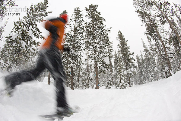 niedrig  Biegung  Biegungen  Kurve  Kurven  gewölbt  Bogen  gebogen  Frau  rennen  Wald  Ansicht  jung  Flachwinkelansicht  Kleidung  Schneeschuh  Winkel  Schnee