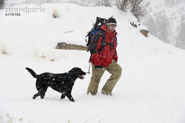 Rucksack  Biegung  Biegungen  Kurve  Kurven  gewölbt  Bogen  gebogen  Mann  gehen  Jacke  Hund  schwarz  Mittelpunkt  rot  Ansicht  Kleidung  Seitenansicht  Erwachsener  Oregon  Schnee
