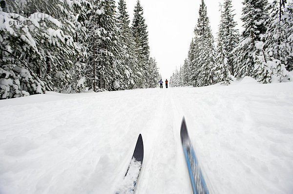 niedrig  Biegung  Biegungen  Kurve  Kurven  gewölbt  Bogen  gebogen  überqueren  Frau  folgen  Skisport  Ski  Ansicht  2  jung  Flachwinkelansicht  Norden    Winkel  Kreuz  Oregon  Schnee