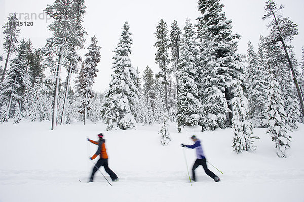 Biegung Biegungen Kurve Kurven gewölbt Bogen gebogen überqueren Frau folgen Ski 2 jung Kreuz Schnee