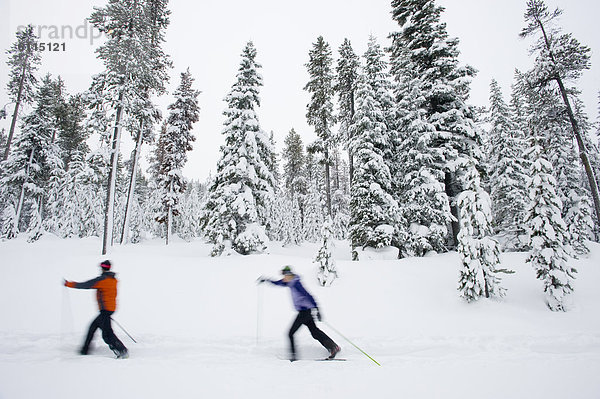 Biegung Biegungen Kurve Kurven gewölbt Bogen gebogen überqueren Frau folgen Ski 2 jung Kreuz Schnee