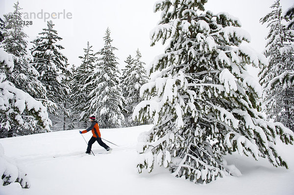Biegung  Biegungen  Kurve  Kurven  gewölbt  Bogen  gebogen  überqueren  Frau  folgen  jung  1  Kreuz  Schnee