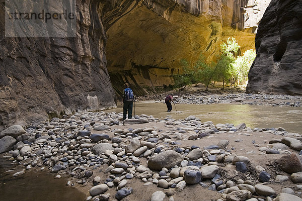 hoch  oben  waten  wandern  2  Zion Nationalpark  Utah