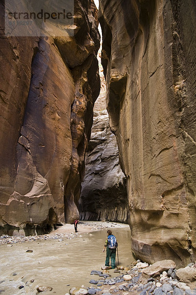 hoch  oben  waten  wandern  2  Zion Nationalpark  Utah