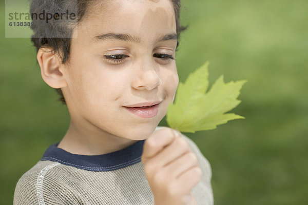 Junge - Person  Pflanzenblatt  Pflanzenblätter  Blatt  grün  lernen