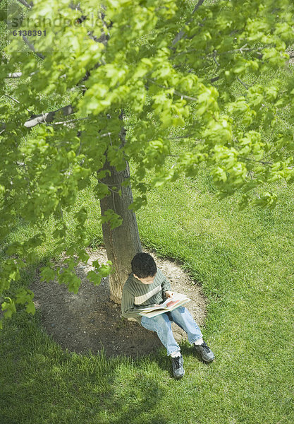 Junge - Person  Baum  über  unterhalb  Ansicht  vorlesen