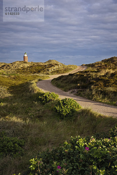 Leuchtturm in Kampen auf Sylt  Deutschland