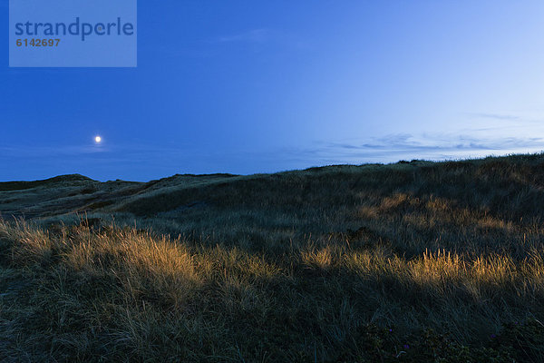 Blick über Dünenlandschaft bei Mondschein nahe Rantum  Sylt  Deutschland