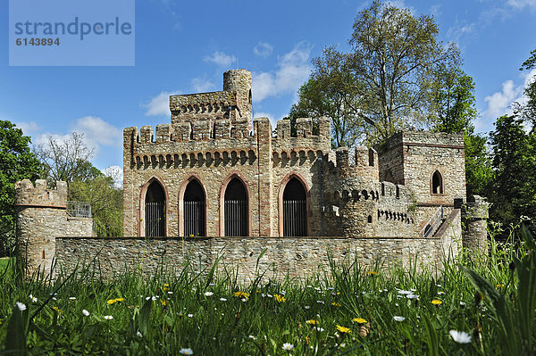 Die Mosburg  früher auch Moosburg  eine künstliche Ruine im Biebricher Schlosspark  Wiesbaden  Hessen  Deutschland  Europa