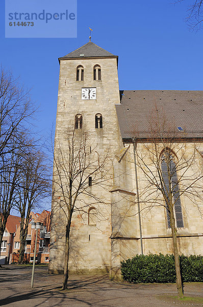 Kirche St. Dionysius in Havixbeck  Münsterland  Nordrhein-Westfalen  Deutschland  Europa  ÖffentlicherGrund