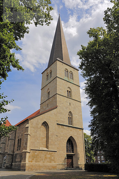 Kirche St. Viktor in Dülmen  Münsterland  Nordrhein-Westfalen  Deutschland  Europa  ÖffentlicherGrund