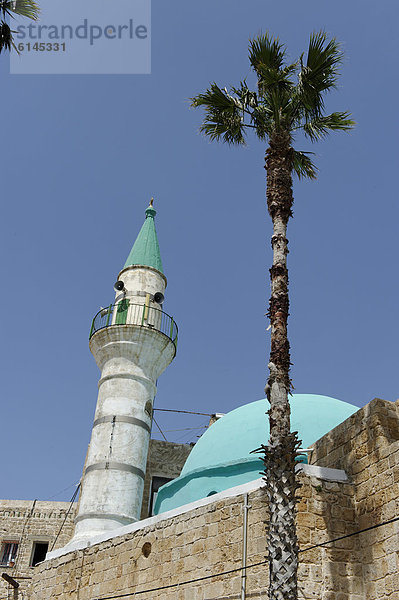 Al Zaytuna Moschee in der Altstadt  Akko  Akkon  Acco  Acre  Unesco Weltkulturerbe  Israel  Naher Osten