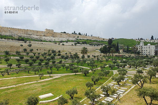 Jerusalem Hauptstadt hoch oben Stadtmauer Naher Osten Ziegelstein Golden Gate Bridge Israel Tempelberg