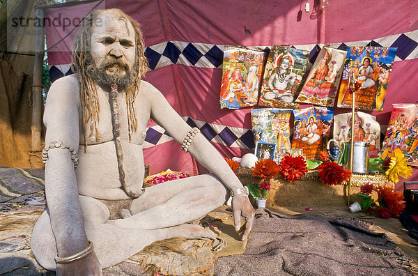 Nackter Sadhu  heiliger Mann  sitzend vor seinem Zelt am Morgen während der Kumbh Mela oder Kumbha Mela  Haridwar  Indien  Asien