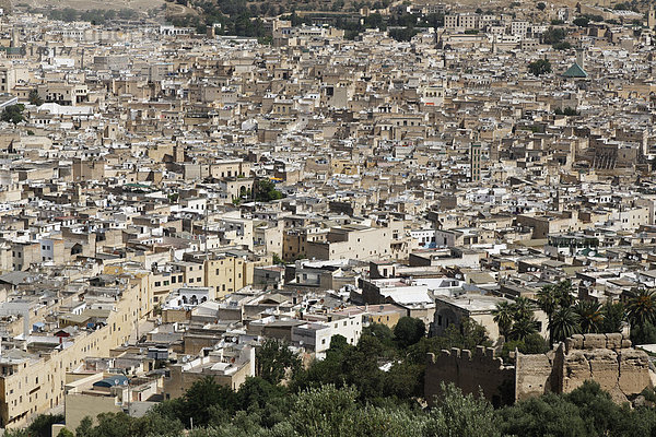 Blick auf die Altstadt von FËs  FËs-Boulemane  Königreich Marokko  Maghreb  Afrika
