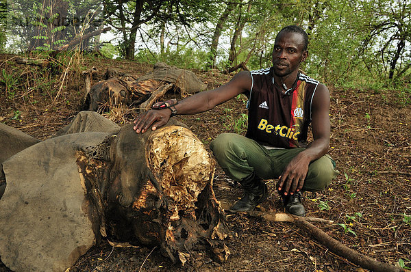 Ranger vor einem der am 5. März 2012 durch sudanesische Wilderer getöteten Elefanten  Bouba-Ndjida-Nationalpark  Kamerun  Zentralafrika  Afrika