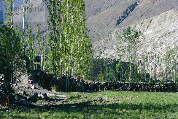 Berg  absteigen  Naher Osten  Iran