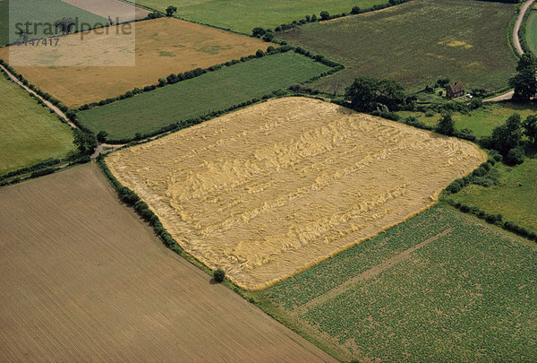 Europa  Großbritannien  Landschaft  Landwirtschaft  Essex  Grenze  England  Suffolk